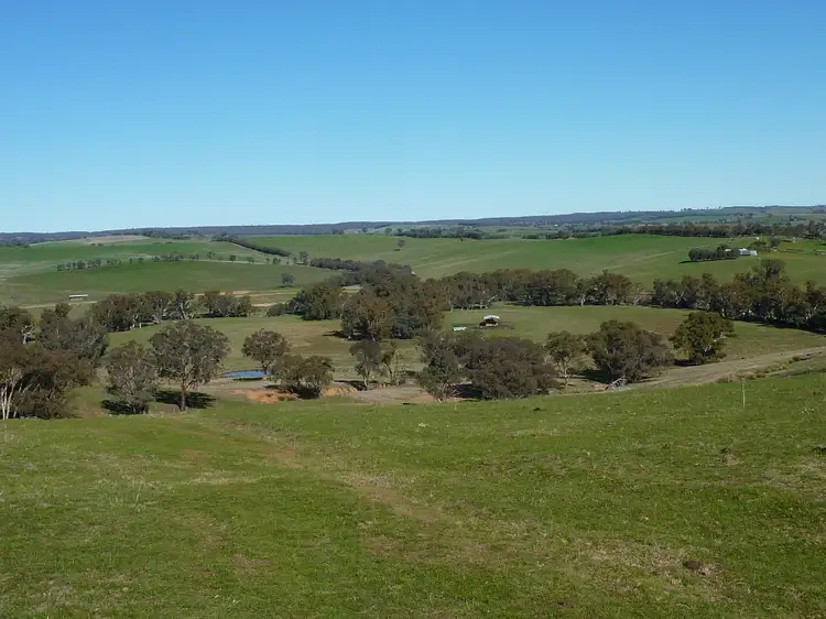 Main view of Homely rural property listing, 146 Pulletop Poad, Wagga Wagga NSW 2650