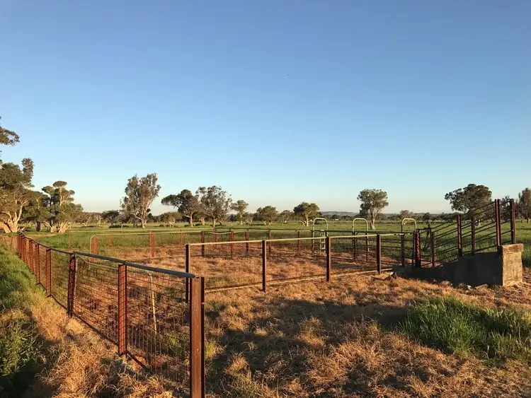 Seventh view of Homely rural property listing, Lot 46 Four Acre Road, Uduc WA 6220