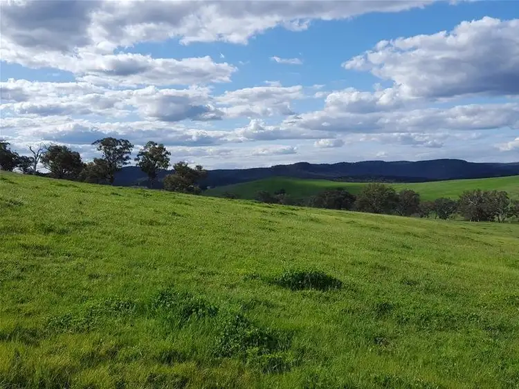 3142 Lue Road, Mudgee NSW 2850