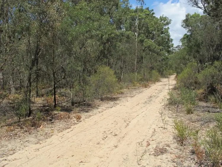 Third view of Homely rural property listing, 255 MacArthur Park Road, Mudgee NSW 2850
