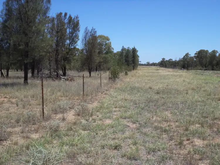 Fourth view of Homely rural property listing, 513 Old Cameby Road, Miles QLD 4415