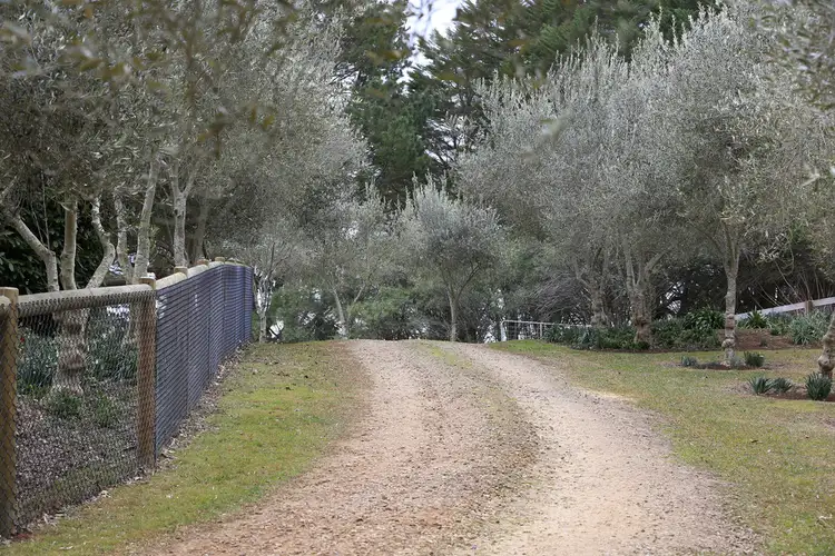 Third view of Homely house listing, 516 Ellsmore Road, Exeter NSW 2579