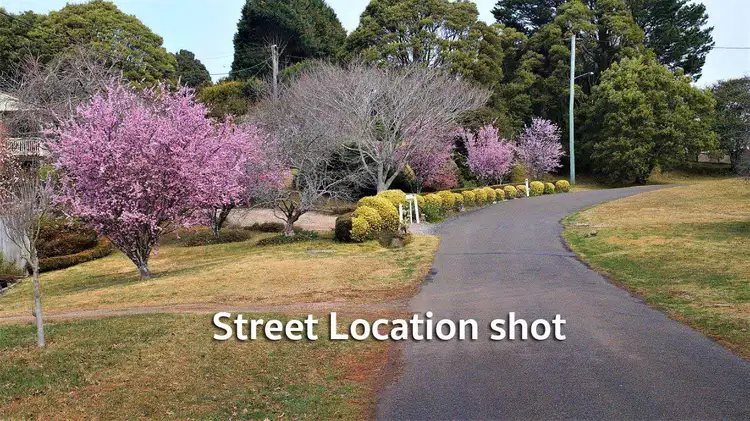 Second view of Homely house listing, 19 Armstrong Crescent, Robertson NSW 2577