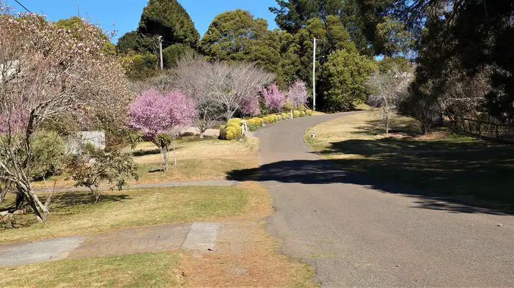 Third view of Homely house listing, 19 Armstrong Crescent, Robertson NSW 2577
