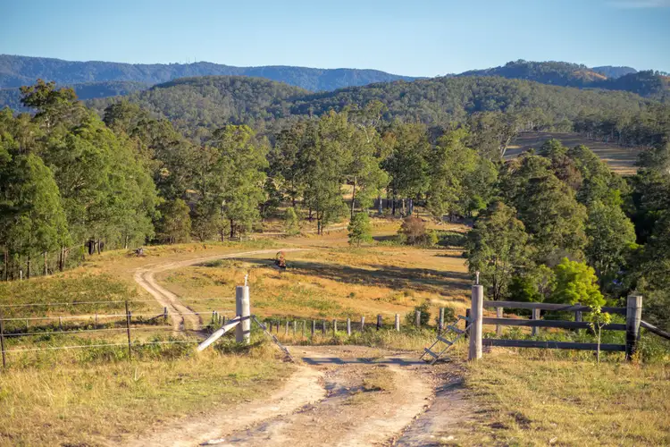 Second view of Homely rural property listing, 737 Black Flat Lane, Wherrol Flat NSW 2429