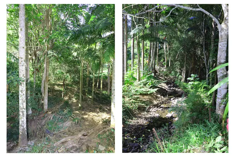 Sixth view of Homely house listing, 90 Anderson Road, Nimbin NSW 2480