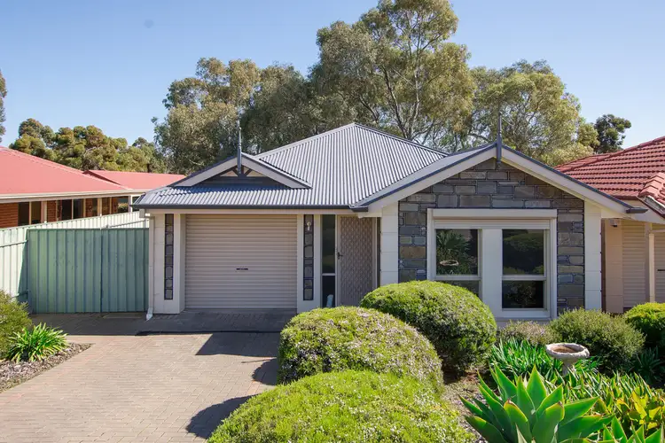 Main view of Homely house listing, 19 Erebus Circuit, Morphett Vale SA 5162