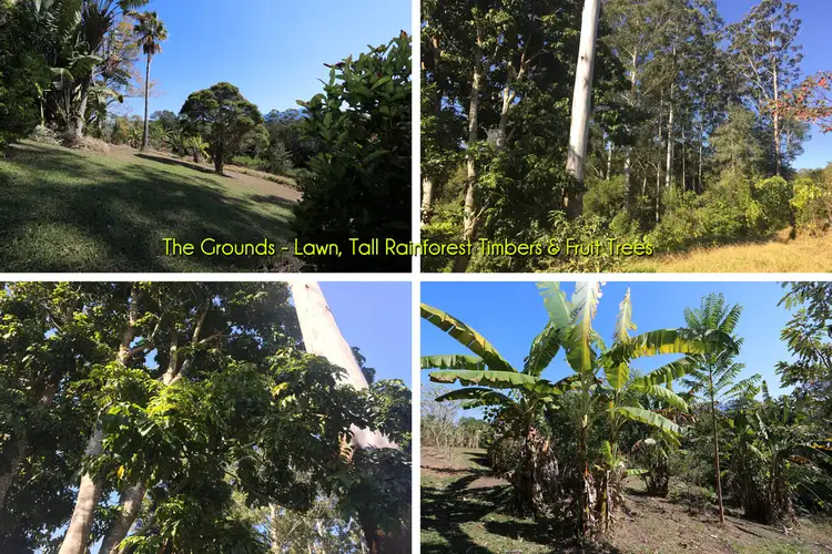 Seventh view of Homely house listing, 9/56 Robb Road, Nimbin NSW 2480