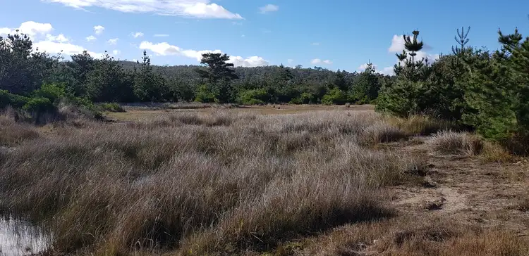 Fourth view of Homely land listing, 280 Carlton Beach Road, Carlton TAS 7173