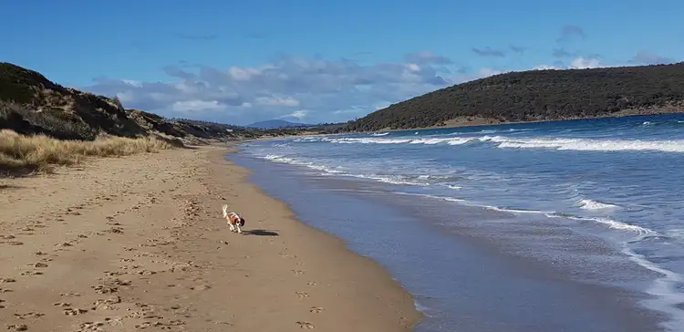 Fifth view of Homely land listing, 280 Carlton Beach Road, Carlton TAS 7173