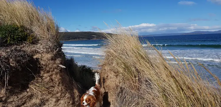 Sixth view of Homely land listing, 280 Carlton Beach Road, Carlton TAS 7173