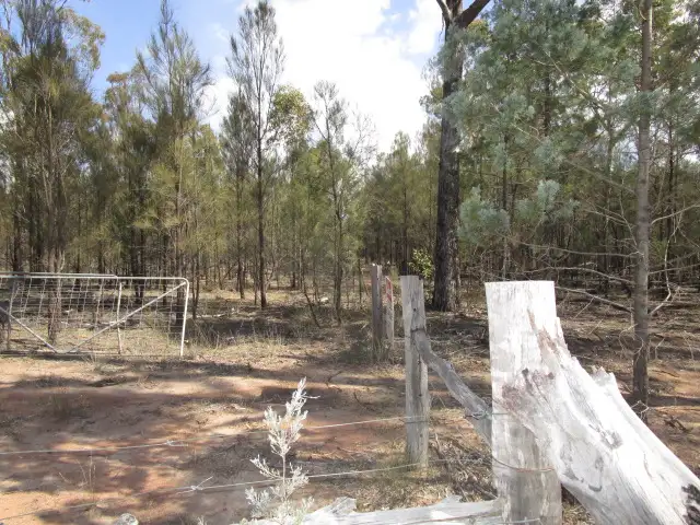 585 WERANGA NORTH ROAD, Tara QLD 4421