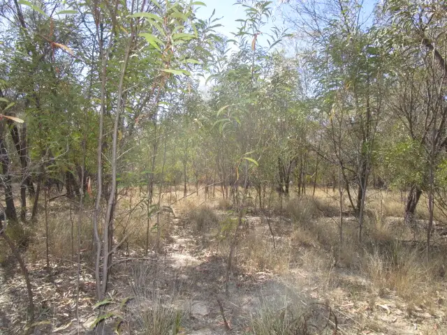 416 MALES DRIVE, Tara QLD 4421