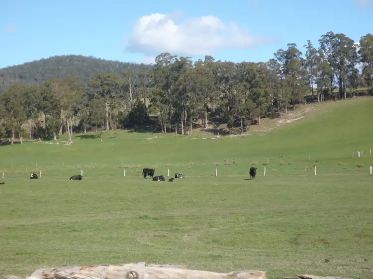 Third view of Homely house listing, 88 Karoola Road, Karoola TAS 7267