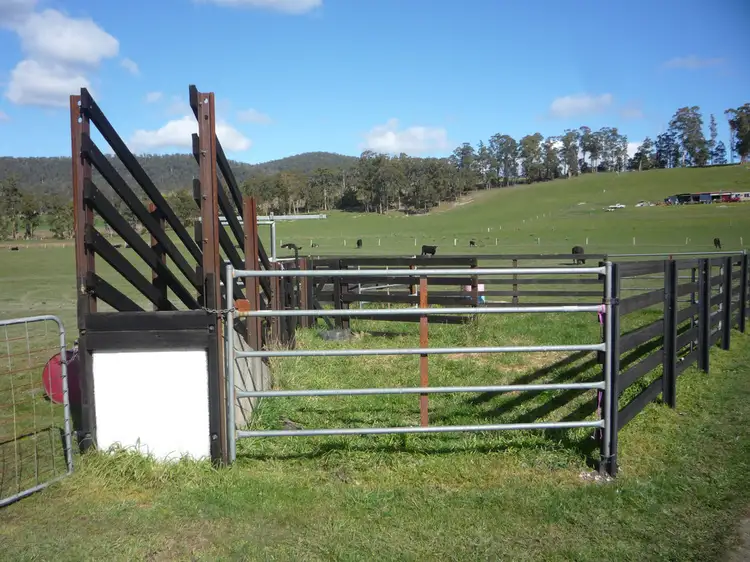 Fourth view of Homely house listing, 88 Karoola Road, Karoola TAS 7267