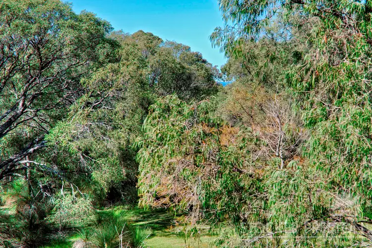 Second view of Homely land listing, 45 Yungarra Drive, Quedjinup WA 6281