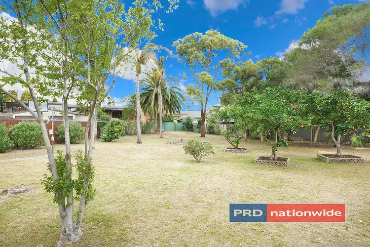 Fifth view of Homely house listing, 31 Sheba Crescent, South Penrith NSW 2750