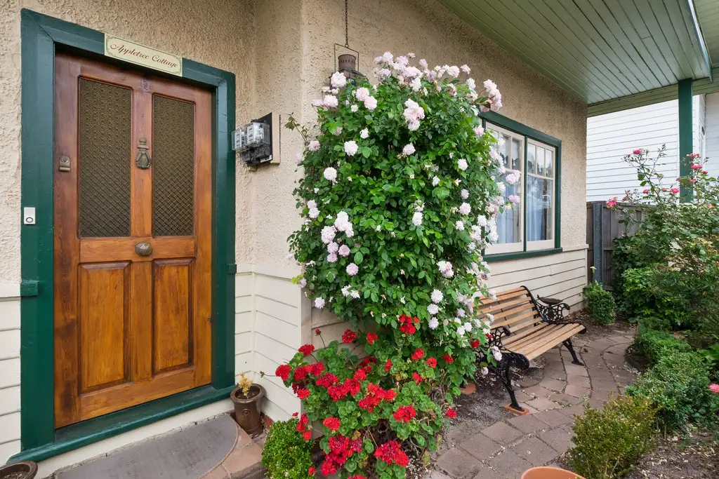 Main view of Homely house listing, 19 Seymour Street, New Town TAS 7008