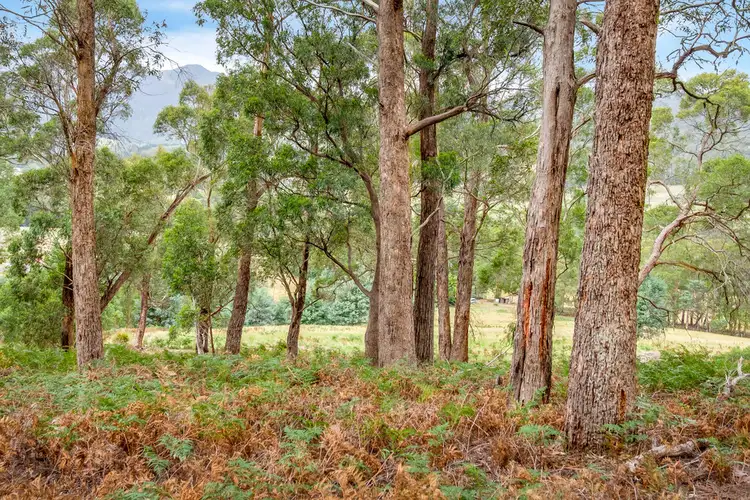 Seventh view of Homely land listing, Lot 3 Oates Road, Mountain River TAS 7109