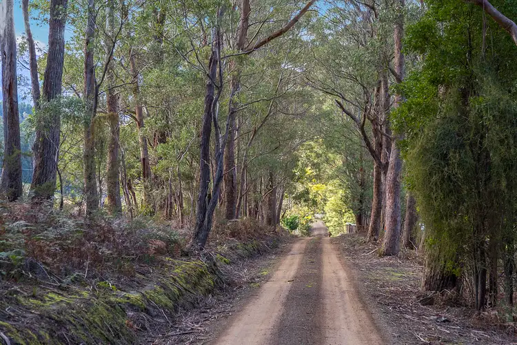 Third view of Homely land listing, Lot 1 Fyfes Road, Mountain River TAS 7109