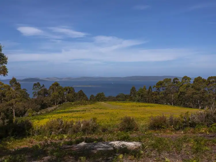 Main view of Homely land listing, 2/3956 Channel Highway, Flowerpot TAS 7163