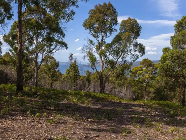 Fourth view of Homely land listing, 2/3956 Channel Highway, Flowerpot TAS 7163