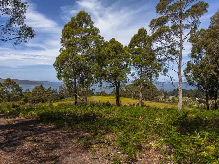 Fifth view of Homely land listing, 2/3956 Channel Highway, Flowerpot TAS 7163