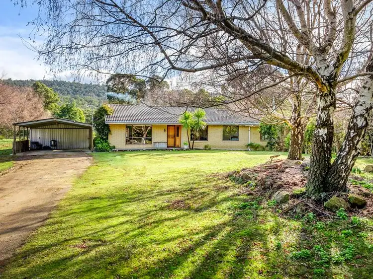 Main view of Homely house listing, 255 Judds Creek Rd, Judbury TAS 7109