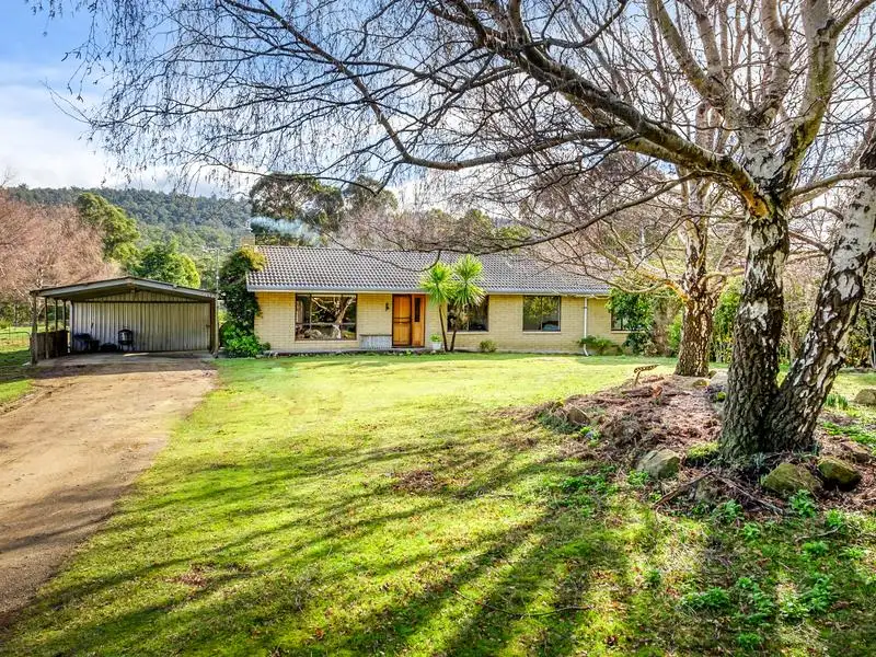 Main view of Homely house listing, 255 Judds Creek Rd, Judbury TAS 7109