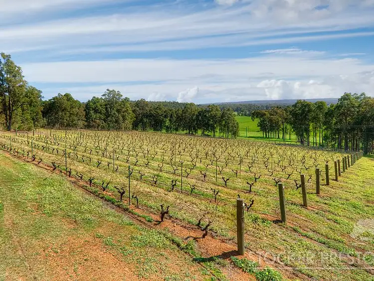 Seventh view of Homely rural property listing, 39 Upper Capel Road, Donnybrook WA 6239