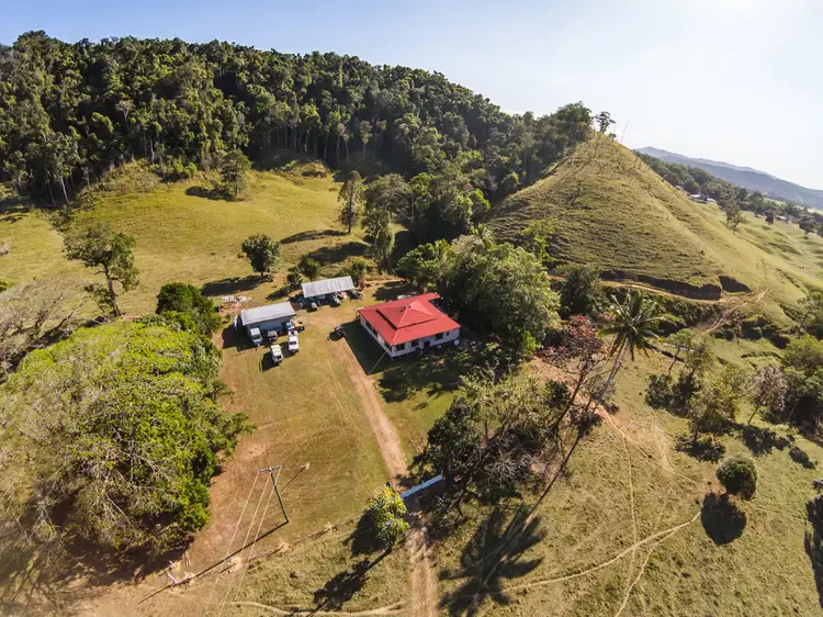 Second view of Homely house listing, 3391 MOSSMAN DAINTREE ROAD, Daintree QLD 4873