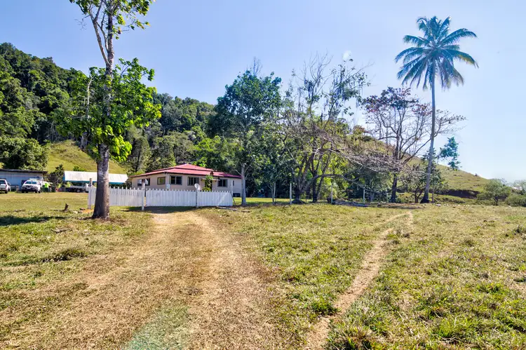 Fourth view of Homely house listing, 3391 MOSSMAN DAINTREE ROAD, Daintree QLD 4873