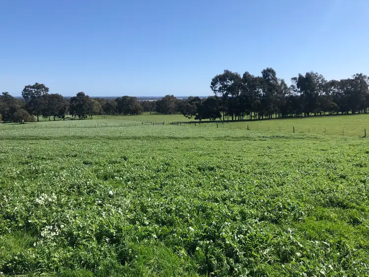 Fourth view of Homely rural property listing, 3891 South Western Highway, North Dandalup WA 6207