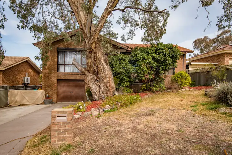 13 Lochiel Street, Queanbeyan NSW 2620