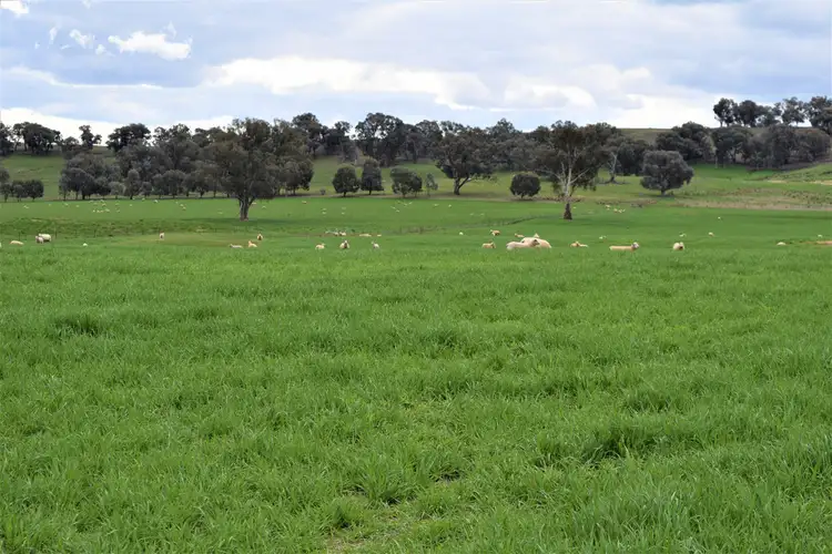 "The Views" Hoffmans Road, Morven NSW 2660
