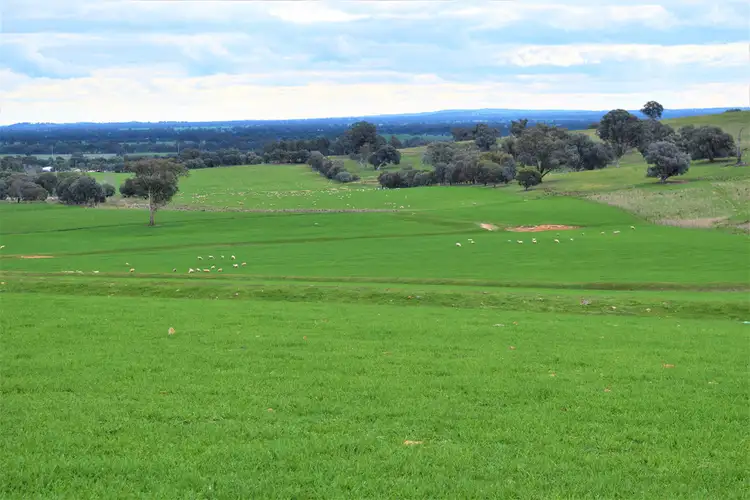 Third view of Homely rural property listing, "The Views" Hoffmans Road, Morven NSW 2660