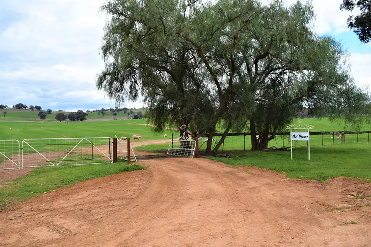 Fourth view of Homely rural property listing, "The Views" Hoffmans Road, Morven NSW 2660