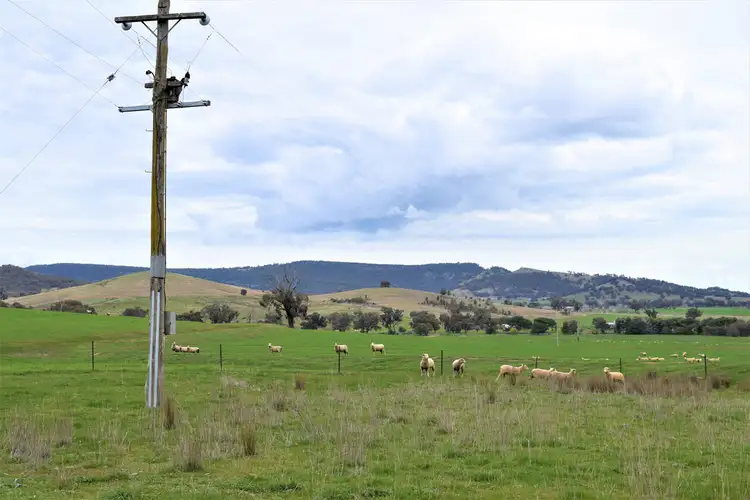 Fifth view of Homely rural property listing, "The Views" Hoffmans Road, Morven NSW 2660