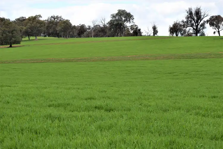 Sixth view of Homely rural property listing, "The Views" Hoffmans Road, Morven NSW 2660