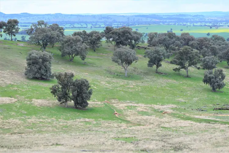 Seventh view of Homely rural property listing, "The Views" Hoffmans Road, Morven NSW 2660