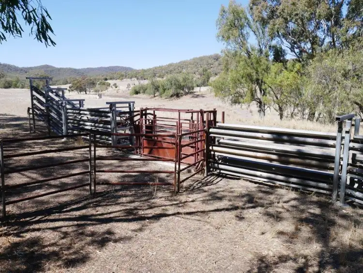 Third view of Homely rural property listing, 325 ACRES GRAZING LIFESTYLE, Bell QLD 4408