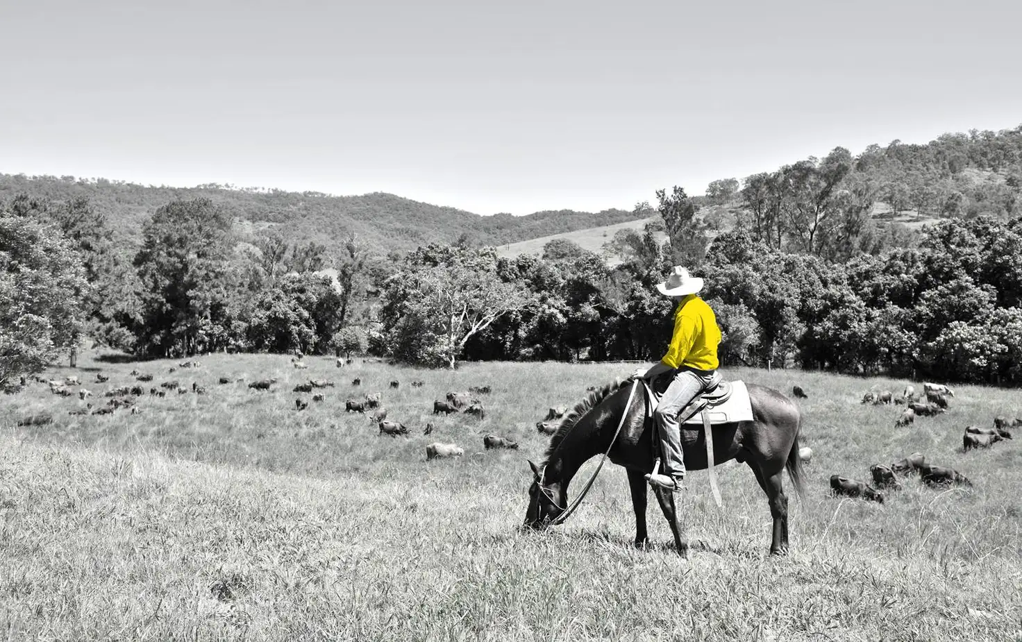 Main view of Homely land listing, Lot 32 Jeffery Circuit, Tumut NSW 2720