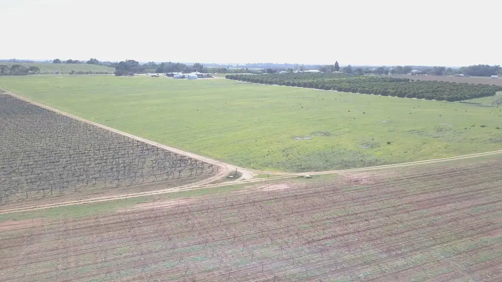 Main view of Homely land listing, Lot 16 Gratwick Road, Loxton SA 5333