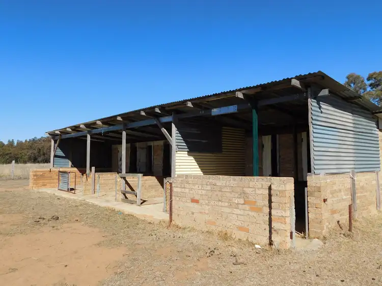 Fifth view of Homely rural property listing, Lot 5 Three Hills Road, Coonabarabran NSW 2357