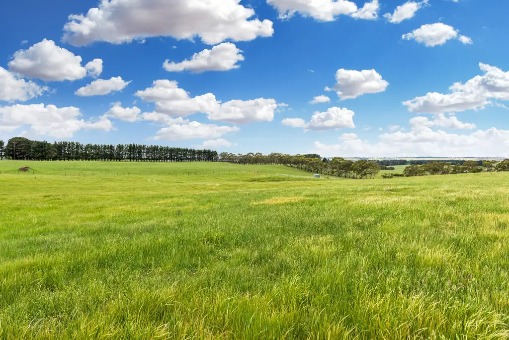Main view of Homely rural property listing, 171 Third Creek Road, Crookwell NSW 2583
