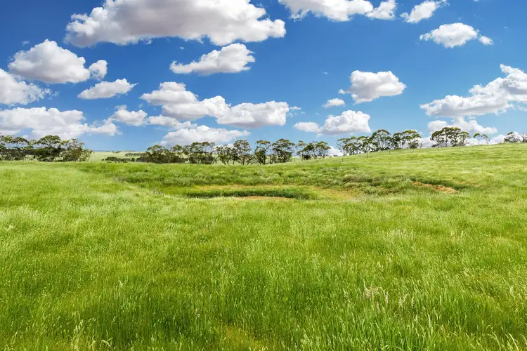 Second view of Homely rural property listing, 171 Third Creek Road, Crookwell NSW 2583