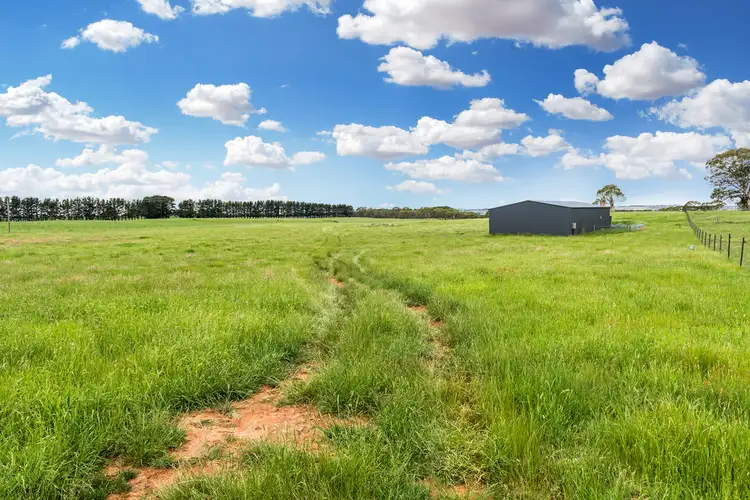 Third view of Homely rural property listing, 171 Third Creek Road, Crookwell NSW 2583
