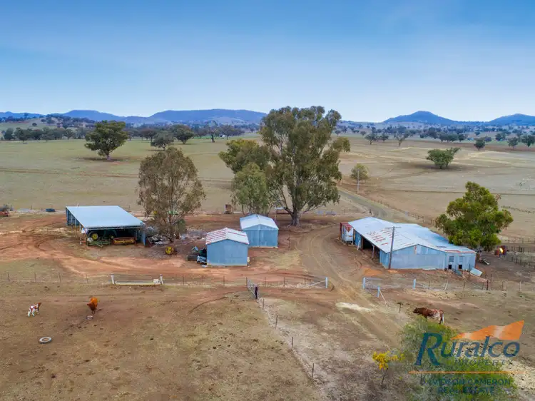 Fourth view of Homely rural property listing, 333 Garoo Road, Garoo, Tamworth NSW 2340