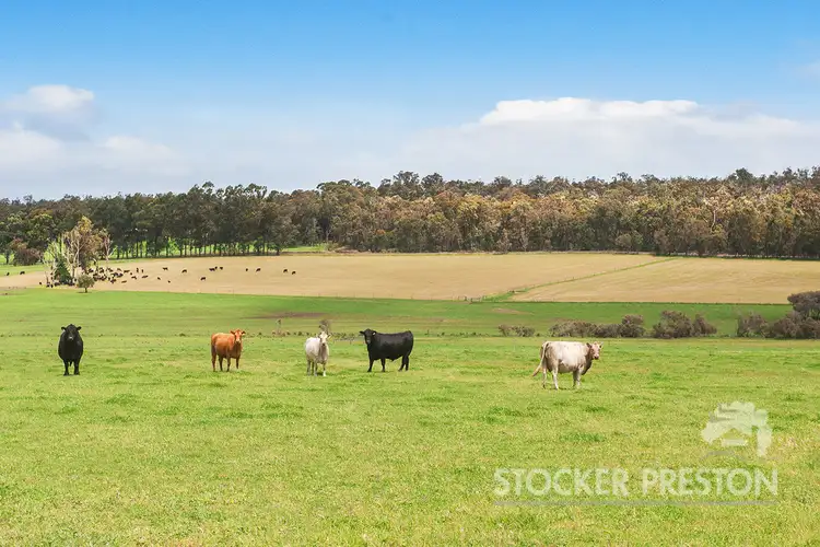 Second view of Homely rural property listing, 1167 Jindong-Treeton Rd, Treeton, Cowaramup WA 6284