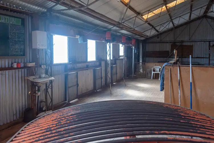 Third view of Homely rural property listing, 0 Gas Pipeline Road Towitta, Sedan SA 5353